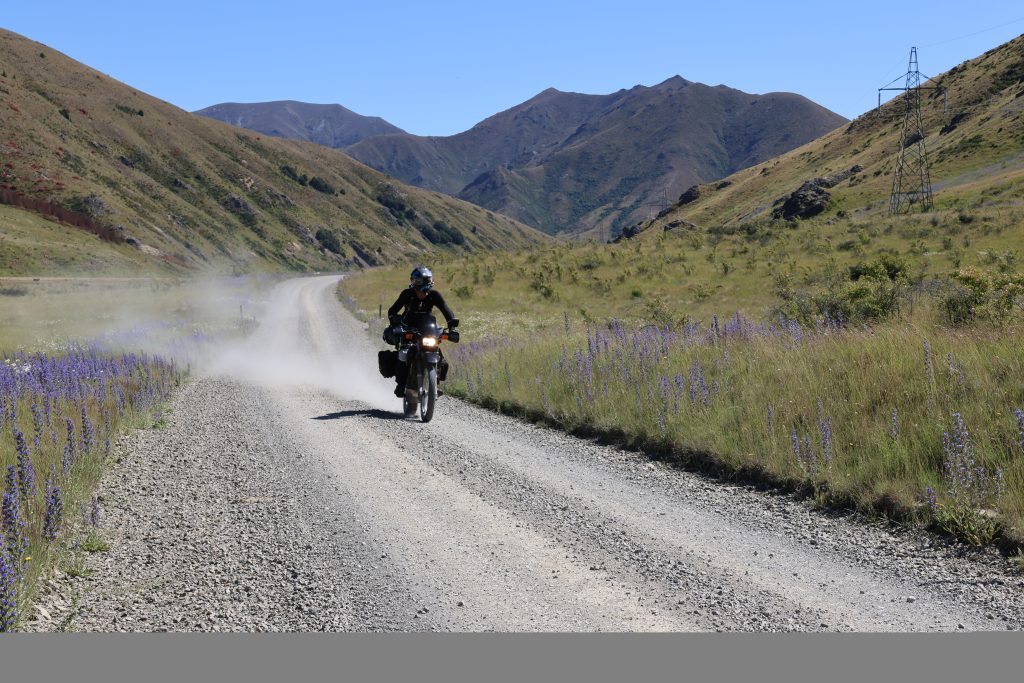 Motorcyclist riding on a gravel road with lupine flowers and mountainous backdrop